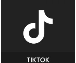 خدمات تيك توك